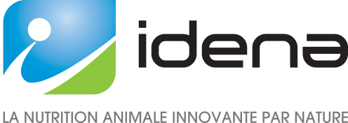 IDENA