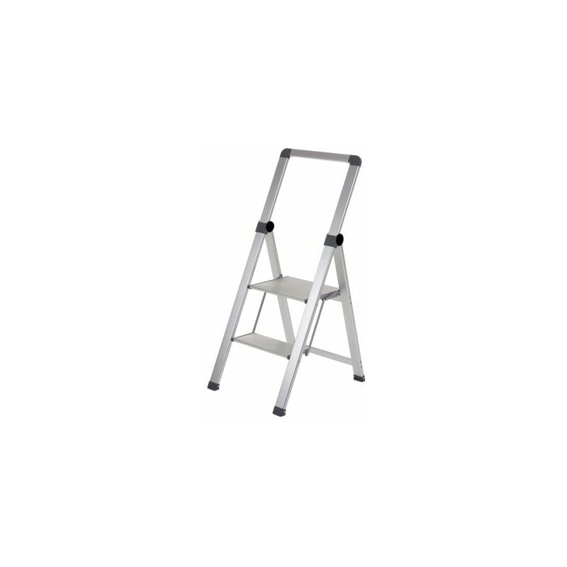 Rs Pro - Marchepied à 2 marches , hauteur de plateforme 450mm ( Prix pour 1 )