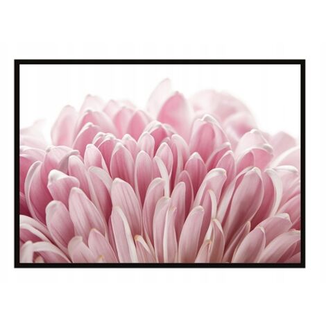Marco para póster 53x73 cm Flor P1682