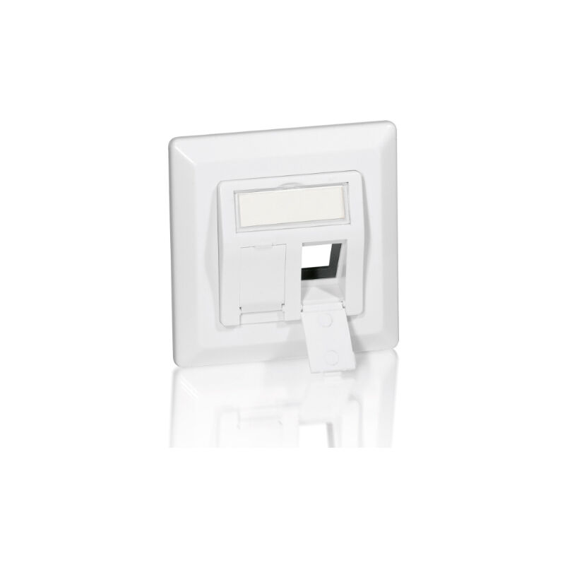 

Marco roseta 50 x 50 para 2 conectores keystone 45º color blanco
