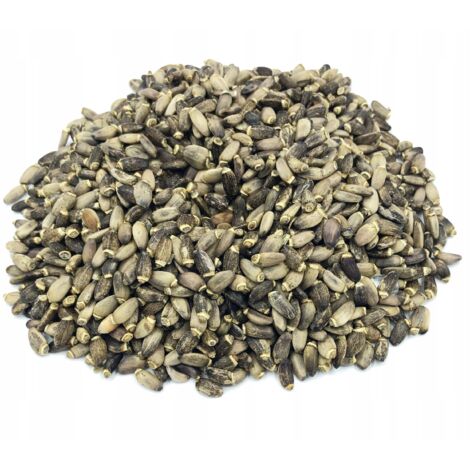 Mariendistel Mariendistelsamen 500 g 100 %