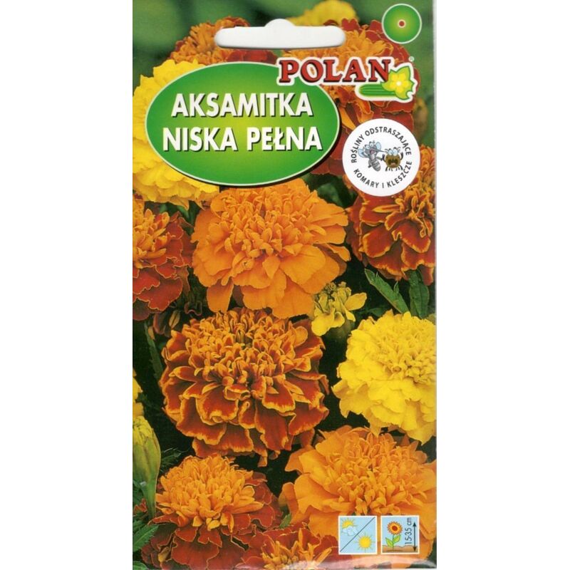 Seklos-lt Graines de Tagetes Couleur Orange Faciles à Cultiver