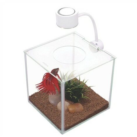 Marina Betta Kit Cubus 3.4 L