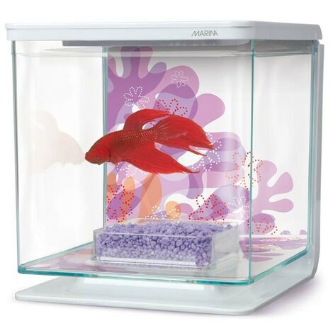 Marina Betta Kit - Fiore