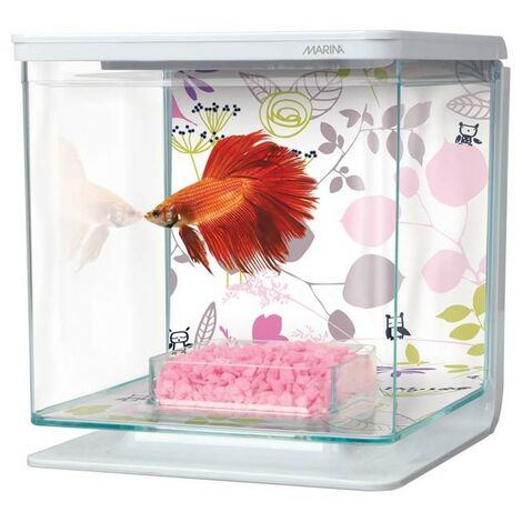 Marina Betta Kit - Florale