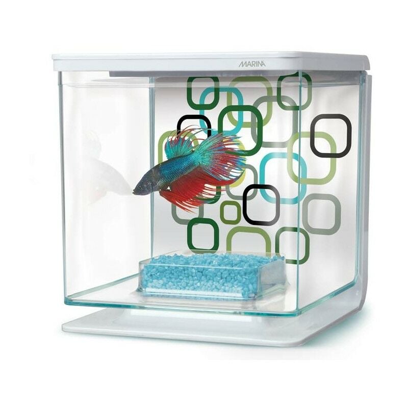 Betta Kit - Geo -Blasen - Marina