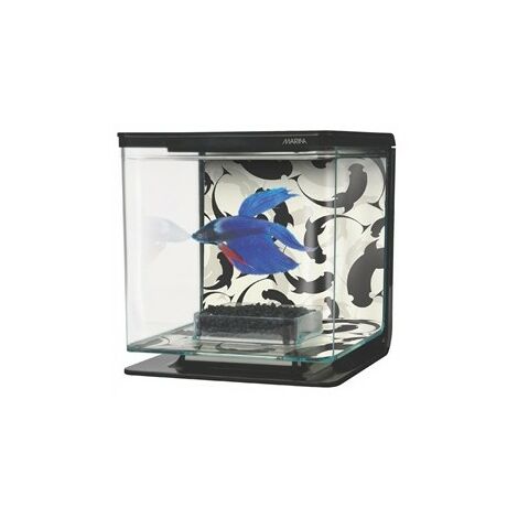 Marina Betta Kit - Ying Yang