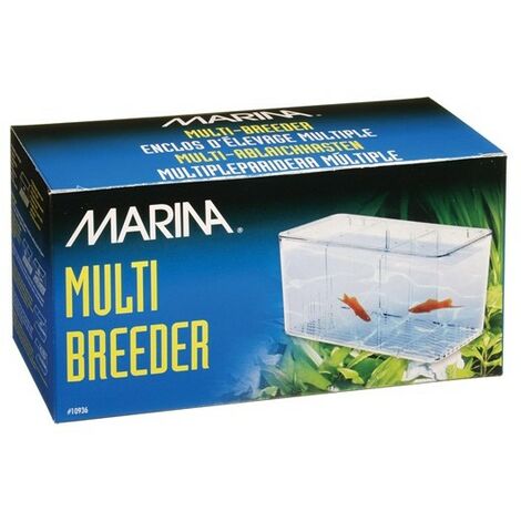Marina Multi Parida