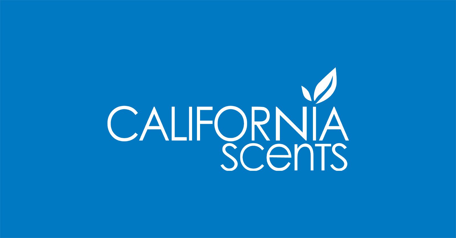 California Scents Lufterfrischer Duftdose New Car Autopflege