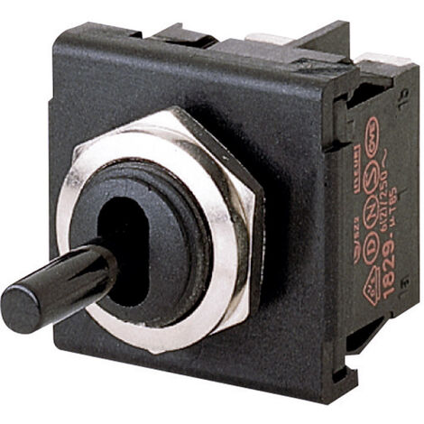 Marquardt 1822.1101 1822.1101 Kippschalter 250 V/AC 6 A 2 x Aus/Ein IP40 rastend 1 St.