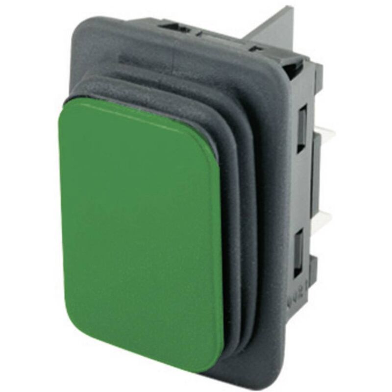 1932.3118 Interruttore a bilanciere 1932.3118 250