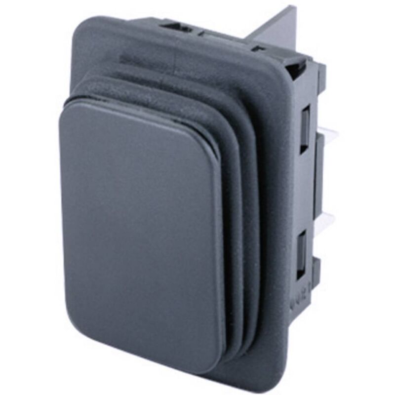 1939.3312 Interruttore a bilanciere 1939.3312 250