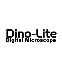 DINO LITE