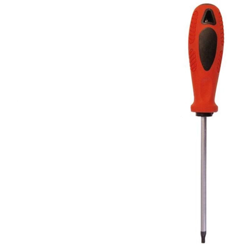 Masidef giravite torx sfuso - TX40