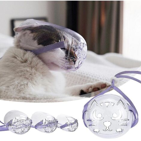 Masque anti-morsure respirant transparent pour chat, protection buccale pour toilettage d'animaux de compagnie, taille L