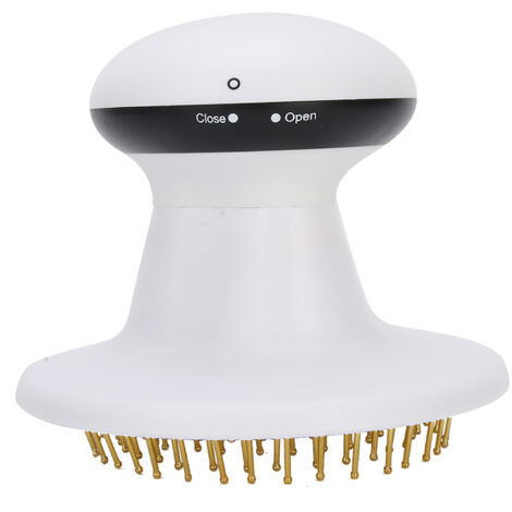 Massageur de Cuir Chevelu Portable Anti-Chute de Cheveux, Réduction du Stress et de la Fatigue