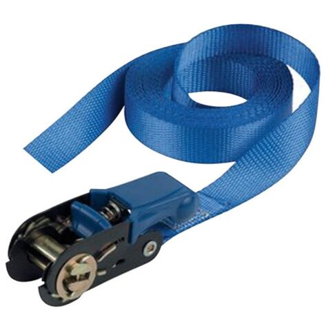 Master Lock 4365EURDAT sangle à cliquet bleue 5 mètres