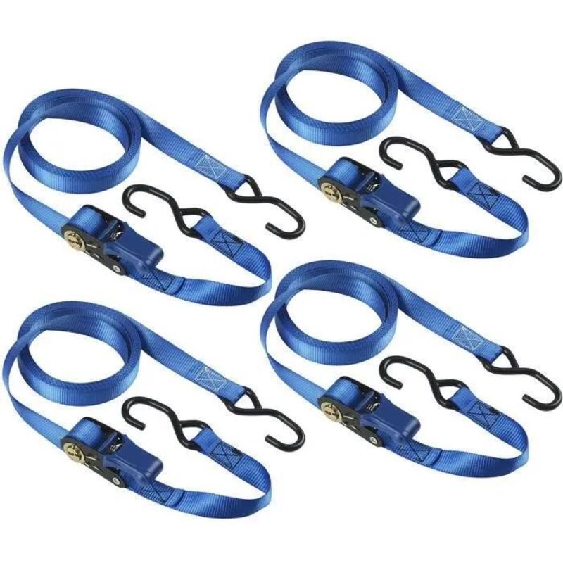 Master Lock Ratschenbandset Blau 5 M X 25 Mm