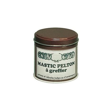 PELTON MASTIC A GREFFER - 200 G - Entretien