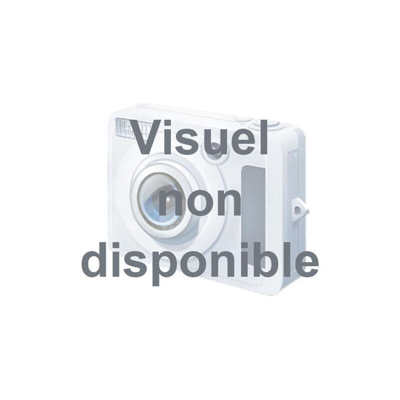 Rubson - mastic maison multi usage multi materiaux transparent 280 ml