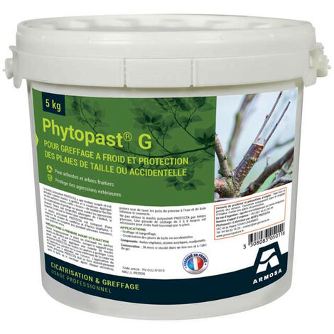 Mastic polyvalent PHYTOPAST 5 kg