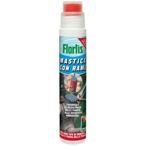 MASTICE MASTMIX 250 GR FLORTIS