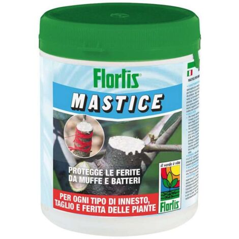Mastmix Mastice Cicatrizzante 500g