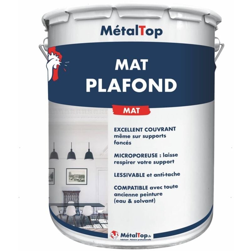 Mat Plafond - Pot 5 l Metaltop