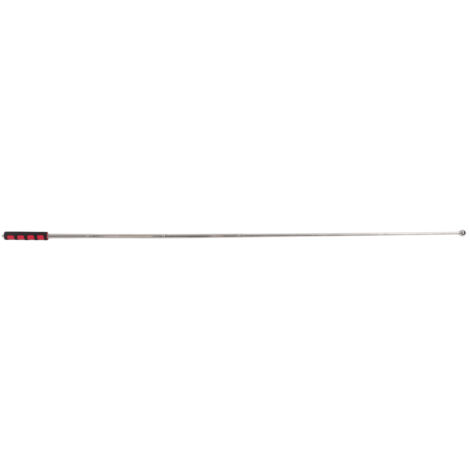 Mât télescopique portable 120cm en acier inoxydable pour drapeaux et manifestations - 2 pièces