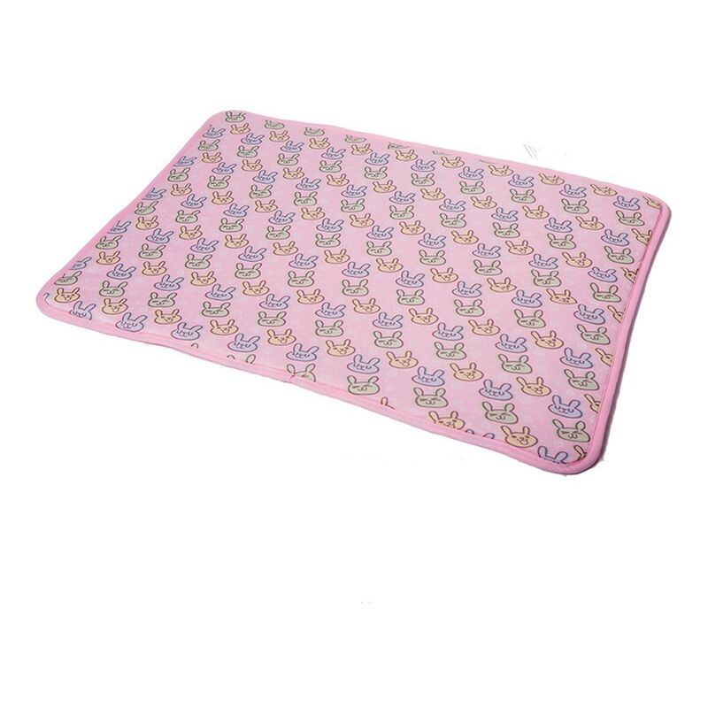 Matelas de couchage pour chat résistant aux morsures Coussin de glace rafraîchissant Coussin d'été