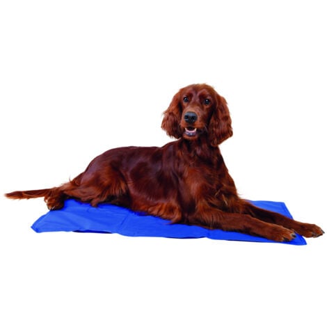 Matelas rafraîchissant L 65 x 50 cm, bleu  pour chien - Trixie