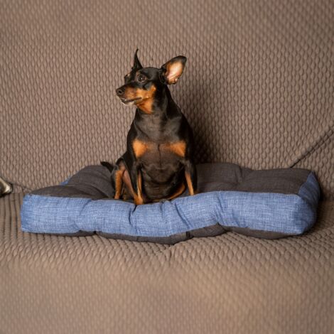 Materasso per cane e gatto, morbido, ortopedico(Small)  Buggy