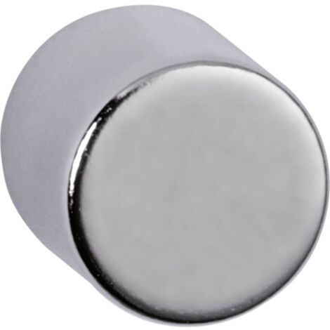 MAUL 6166896 Cilindro di neodimio, 10 X 10 mm, Nickel