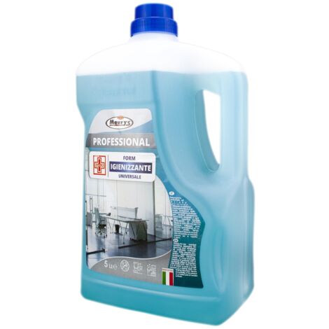 MAURY'S PROFESSIONAL 5LT FORM IGIENIZZANTE UNIVERSALE