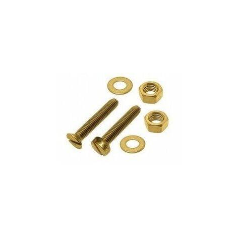 MAXICRAFT 10 vis (10 mm) + 10 rondelles + 10 écrous Ø 1,6 mm