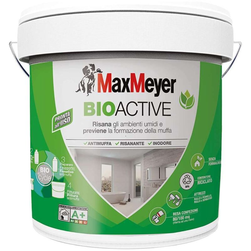 Bioactive A Pittura Antimuffa lt.10