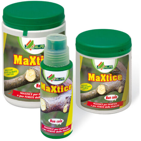 Maxtice 250gX24PZ mastice barattolo con pennello