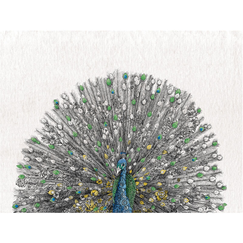 Maxwell & Williams Marini Ferlazzo Birds Serviette de cuisine de Serviette de cuisine avec de Australian Peacock Design de 100% coton, 50 x 70 cm