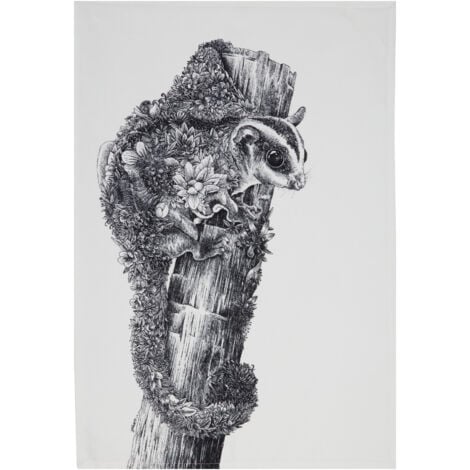 GALOZZOIT Maxwell & Williams Marini Ferlazzo Paño de Cocina con Diseño de Petauro de Azúcar de 100% Algodón, 50 x 70 cm – Blanco