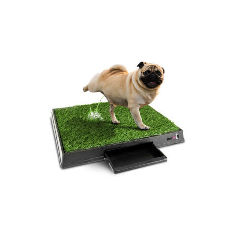 MaxxPet Dog Toilet Artificial Grass - Tappetino per l'addestramento alla toilette - Addestramento alla toilette del cane - 64x52 cm - Tappetini aggiuntivi inclusi
