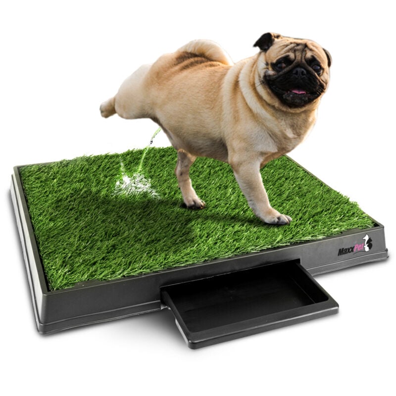 Gazon artificiel pour toilettes pour chiens - Tapis d'apprentissage de la propreté - Chien d'apprentissage de la propreté - 64x52 cm - Incl. plaids