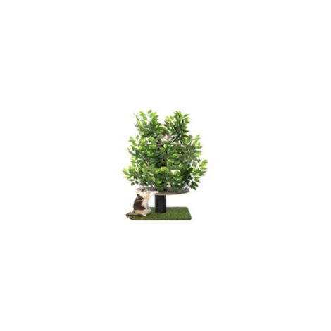 MaxxPet Kattenboom - Krabpaal - Kattenboom met bladeren - Krabpaal voor Katten - Krabton - 60x60x160cm