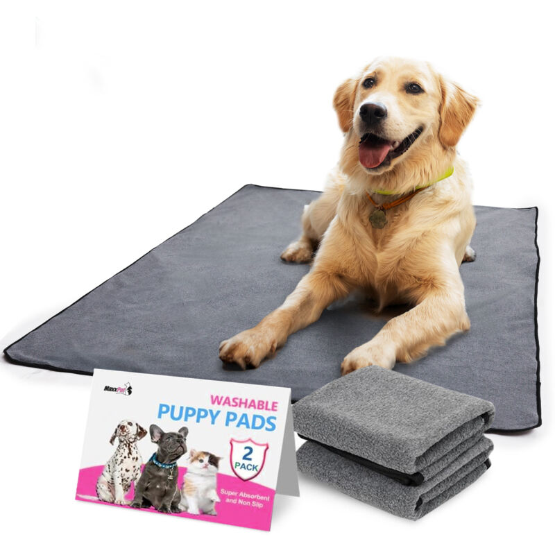 Tapis d'entraînement lavable - Apprentissage de la propreté pour chien - Matelas pour chiot - 150x150cm - 2 pièces - Maxxpet