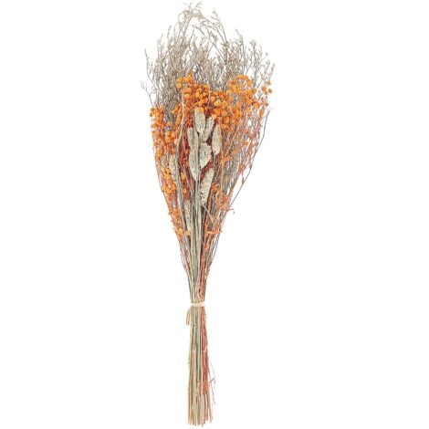 Mazzo di fiori secchi decorativi arancione 65 cm Cercedilla