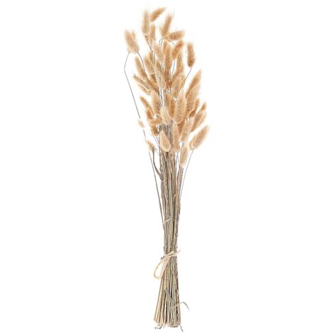Mazzo di fiori secchi decorativi naturale 58 cm Sanabria
