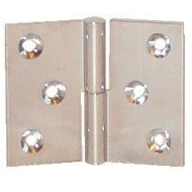 Select 3127961000034 Polierte Messingpaumelle 40x50mm