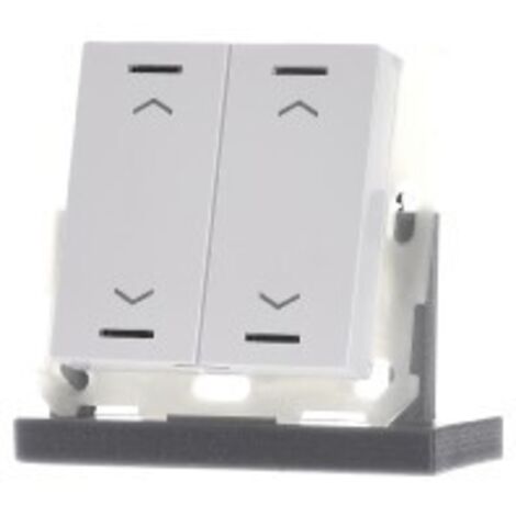 MDT technologies Taster Light 55 2-fach RGBW,rws/glä,Jalou. BE-TAL5502.A1