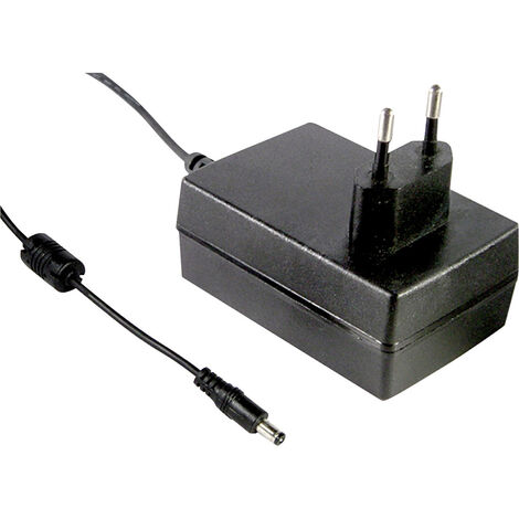 MEAN WELL GST25E24-P1J Steckernetzteil, Festspannung 24 V/DC 1040 mA 25 W