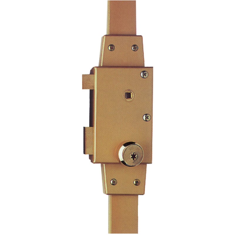 Mécanisme cavith 4572 A2P verticale fouillot or gauche - iseo - 9704VFCA05.5