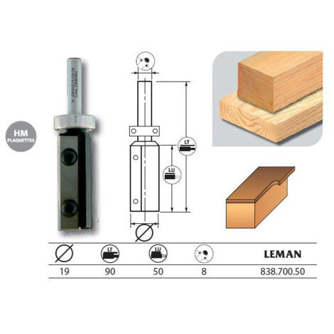 MECHE AFFLEUR 2 PLAQ DROITE D19 LU50 Q8 / RLT SUP HM - 838.700.50 - LEMAN